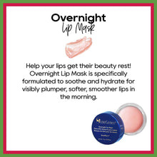 Overnight Lip Mask